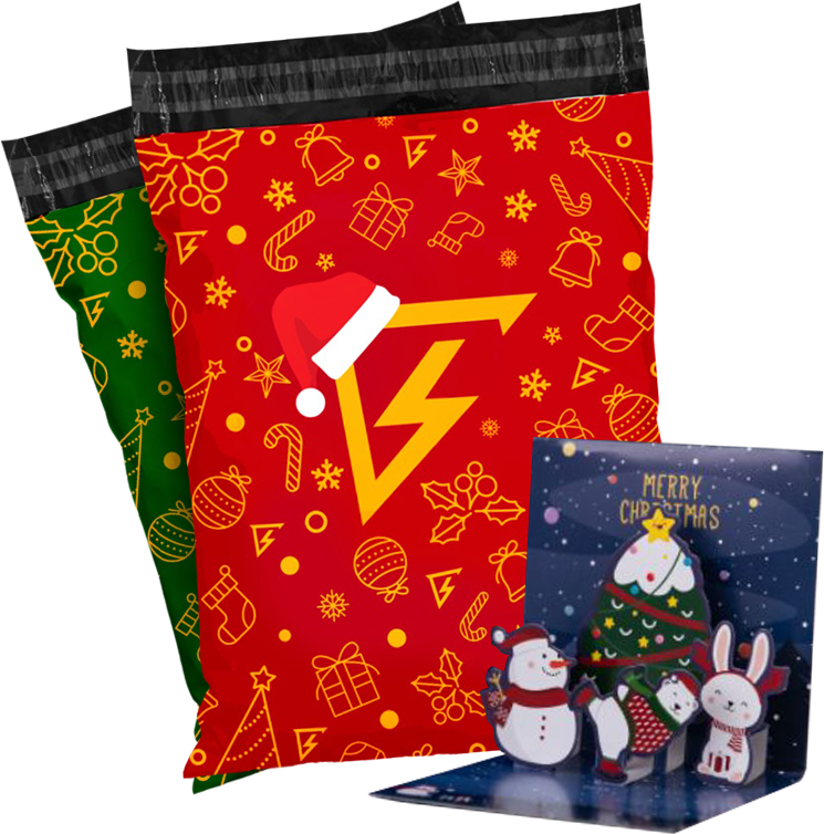 BRIGHT™ Christmas Bag and Card